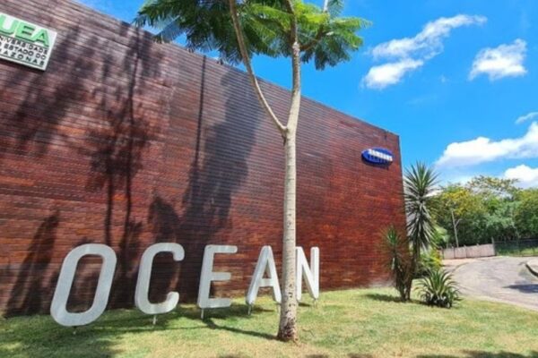 Educação